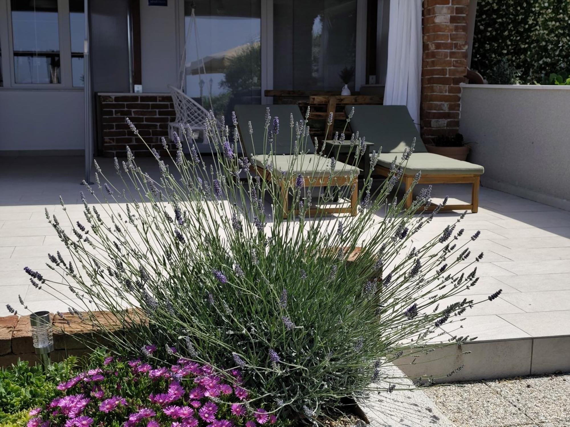 Mundanije Apartments Tinjarosa מראה חיצוני תמונה
